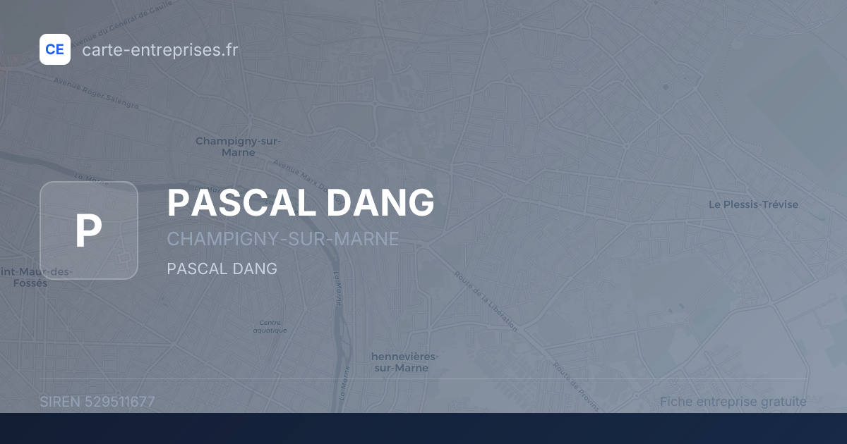 PASCAL DANG — 529511677 — fiche entreprise