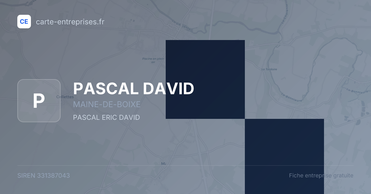 PASCAL DAVID — 331387043 — fiche entreprise