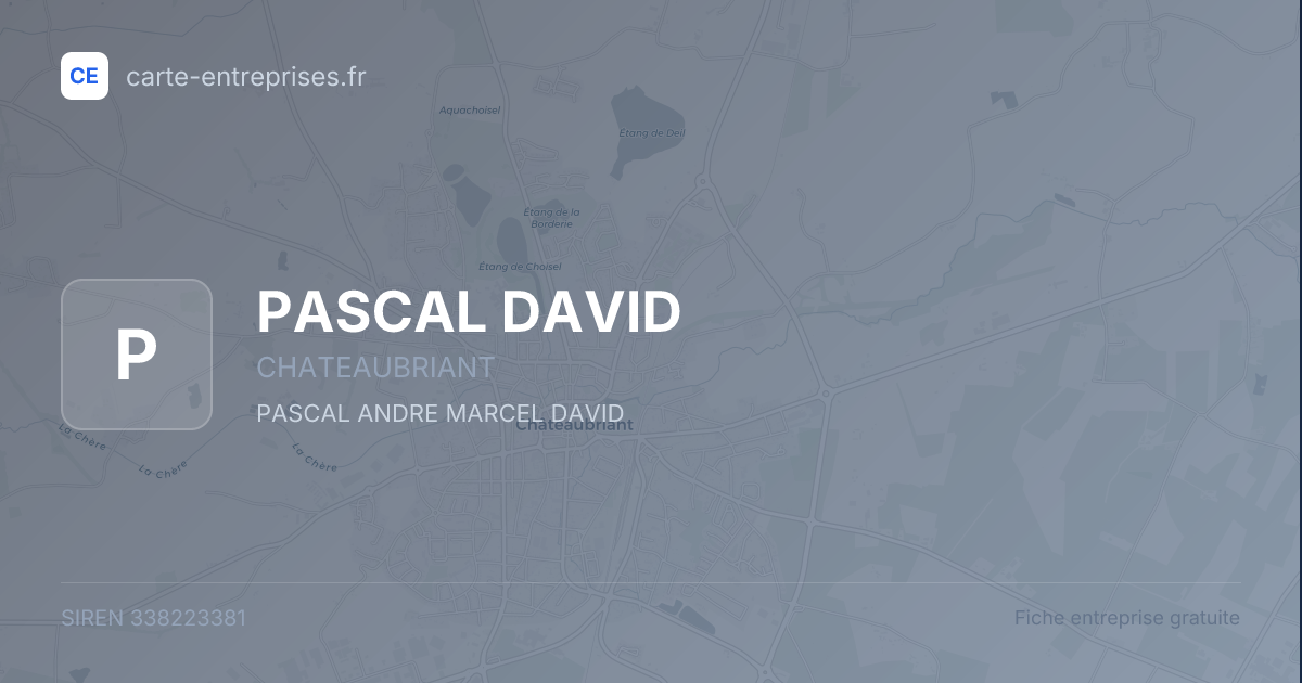 PASCAL DAVID — 338223381 — fiche entreprise