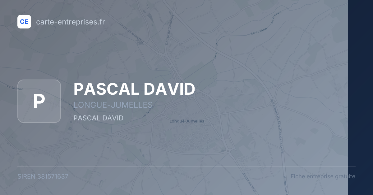 PASCAL DAVID — 381571637 — fiche entreprise