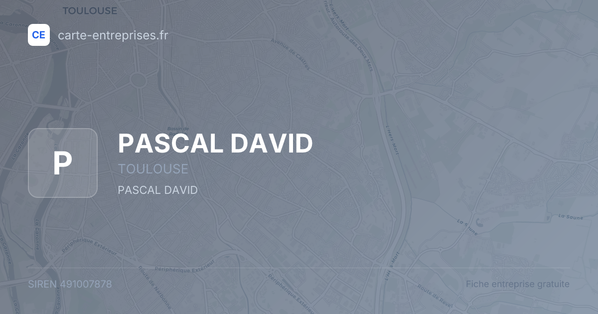 PASCAL DAVID — 491007878 — fiche entreprise