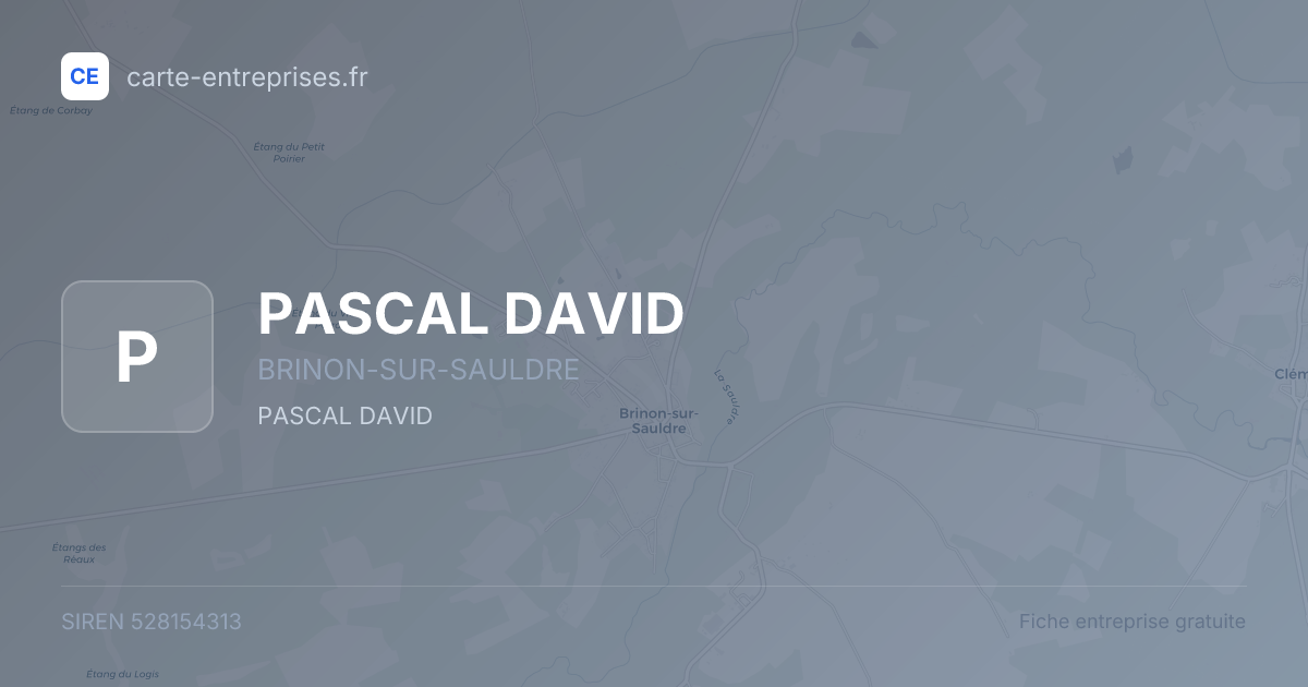 PASCAL DAVID — 528154313 — fiche entreprise