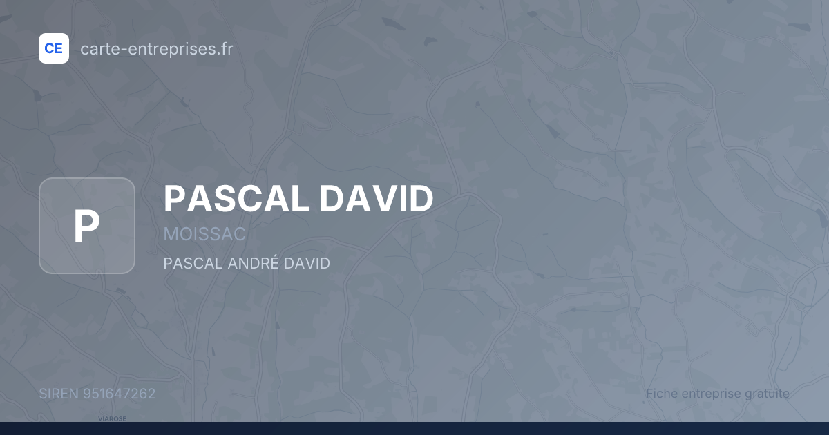 PASCAL DAVID — 951647262 — fiche entreprise