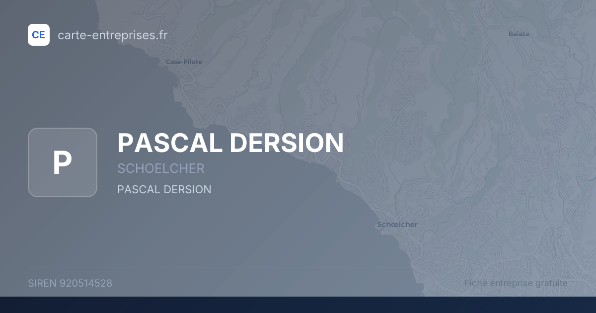 PASCAL DERSION — 920514528 — fiche entreprise