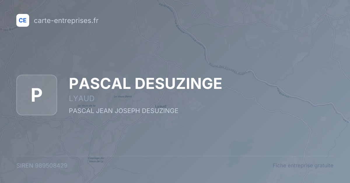 PASCAL DESUZINGE — 989508429 — fiche entreprise