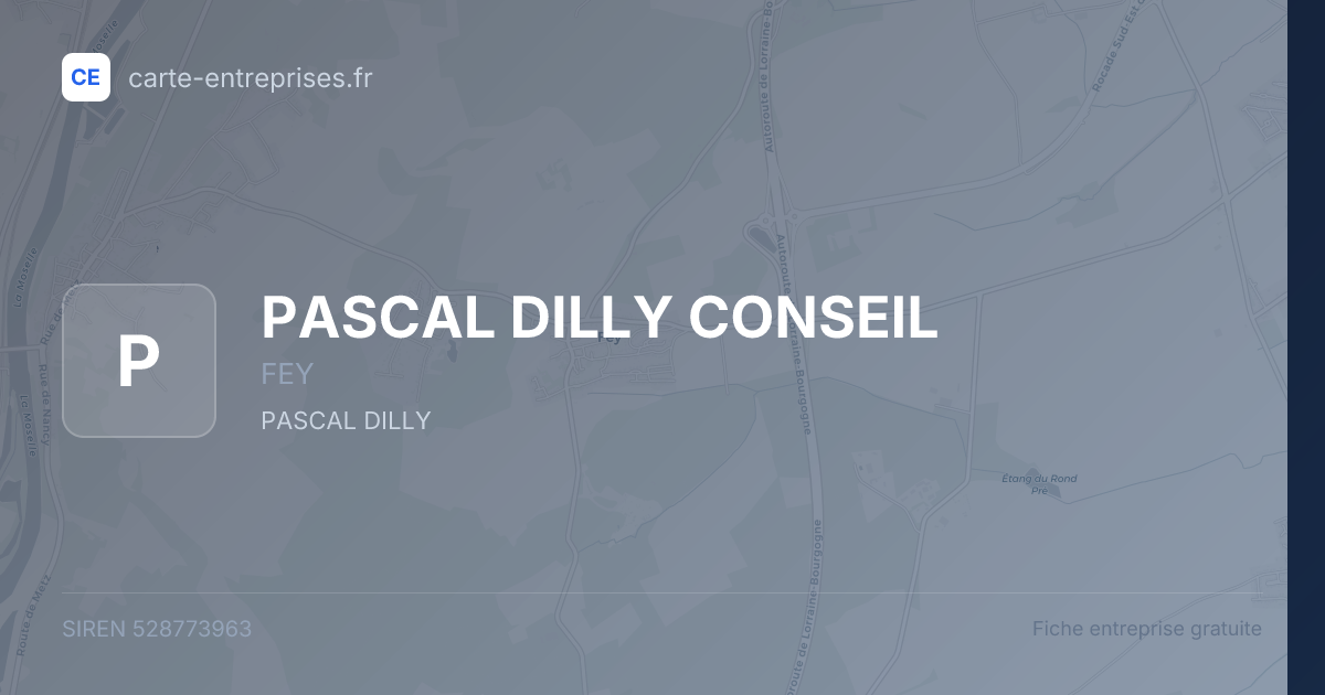 PASCAL DILLY CONSEIL — 528773963 — fiche entreprise