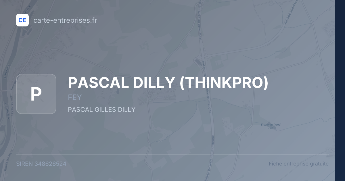 PASCAL DILLY (THINKPRO) — 348626524 — fiche entreprise