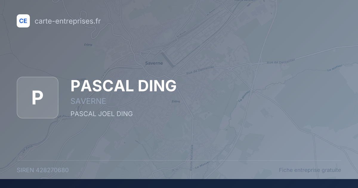 PASCAL DING — 428270680 — fiche entreprise