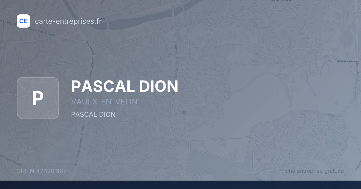 PASCAL DION — 424701167 — fiche entreprise
