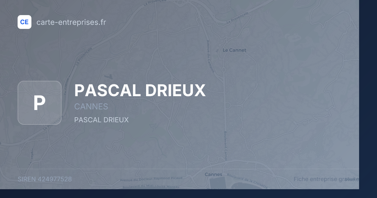 PASCAL DRIEUX — 424977528 — fiche entreprise
