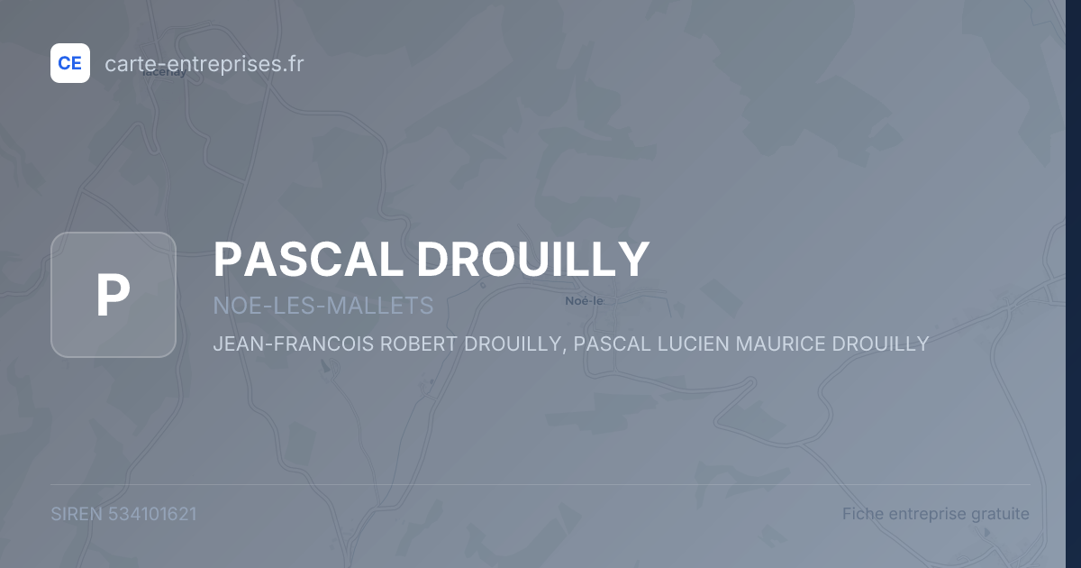 PASCAL DROUILLY — 534101621 — fiche entreprise