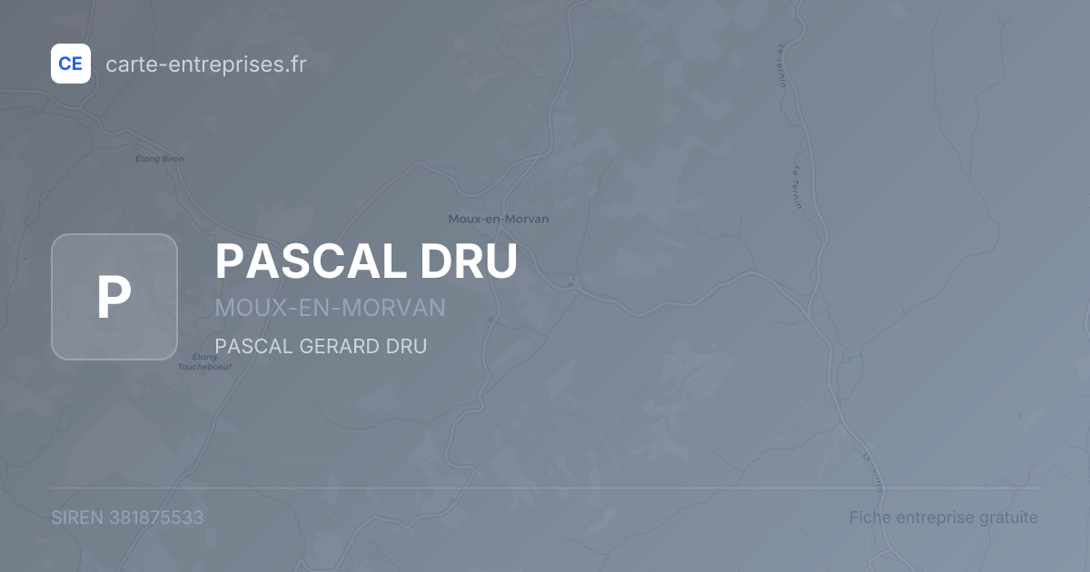 PASCAL DRU — 381875533 — fiche entreprise