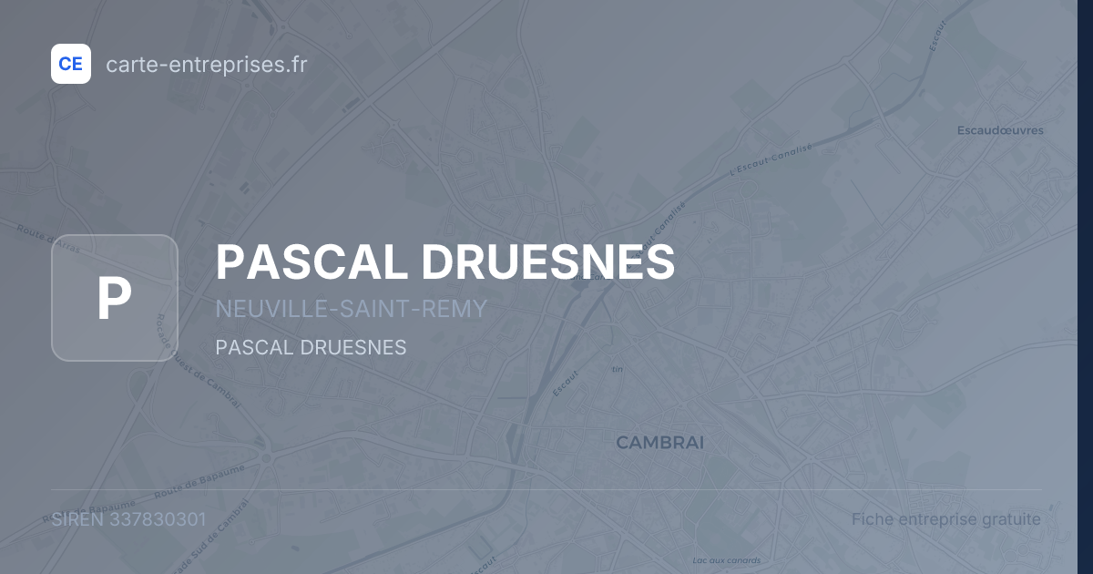 PASCAL DRUESNES — 337830301 — fiche entreprise