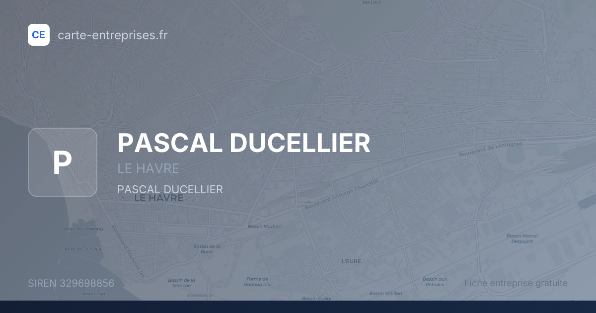 PASCAL DUCELLIER — 329698856 — fiche entreprise
