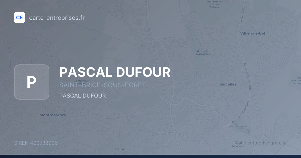 PASCAL DUFOUR — 409732906 — fiche entreprise