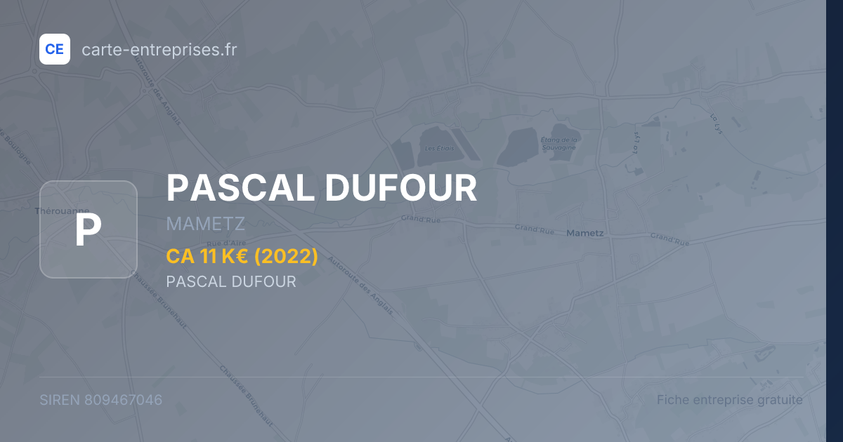PASCAL DUFOUR — 809467046 — fiche entreprise