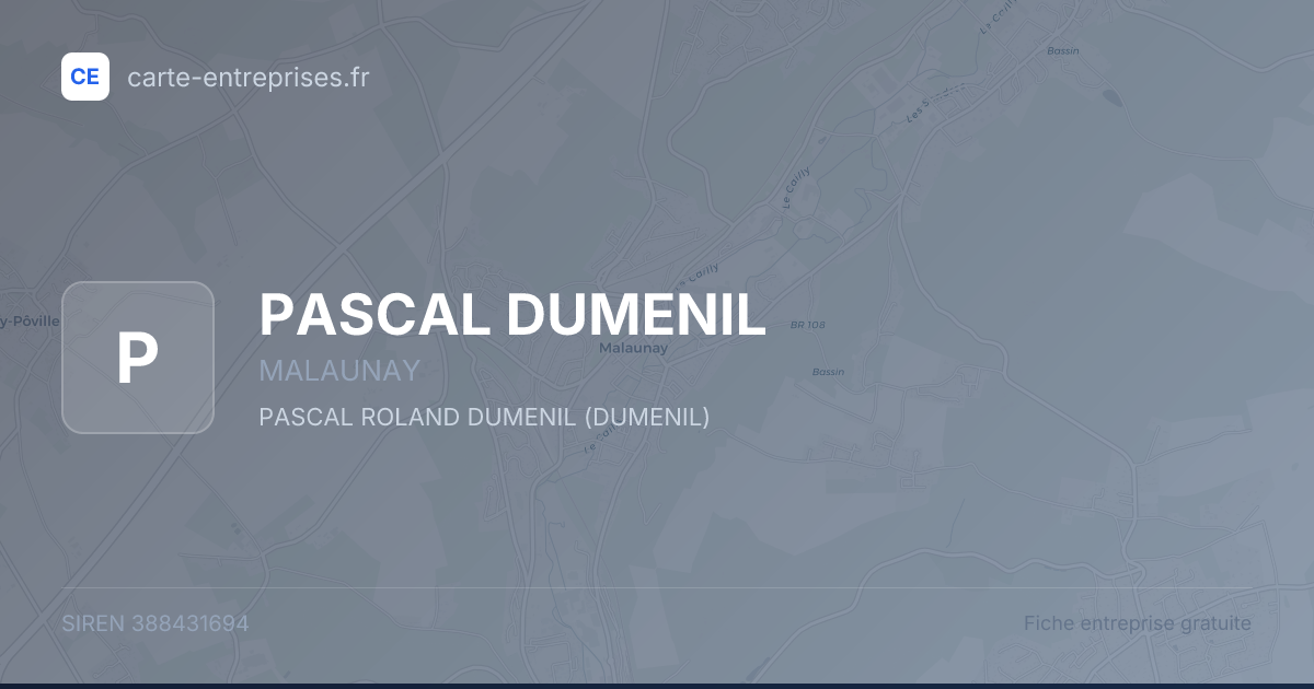 PASCAL DUMENIL — 388431694 — fiche entreprise