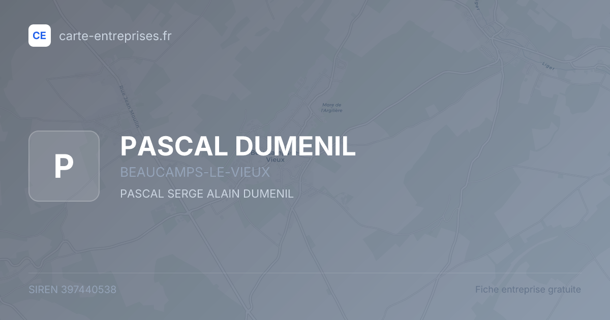 PASCAL DUMENIL — 397440538 — fiche entreprise