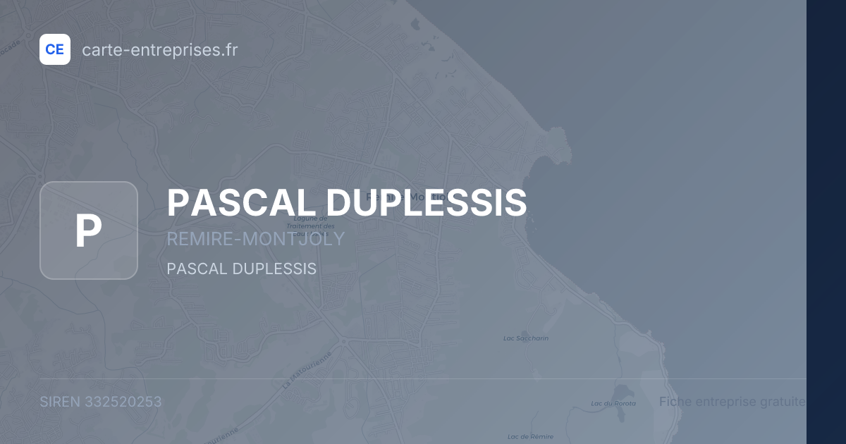PASCAL DUPLESSIS — 332520253 — fiche entreprise