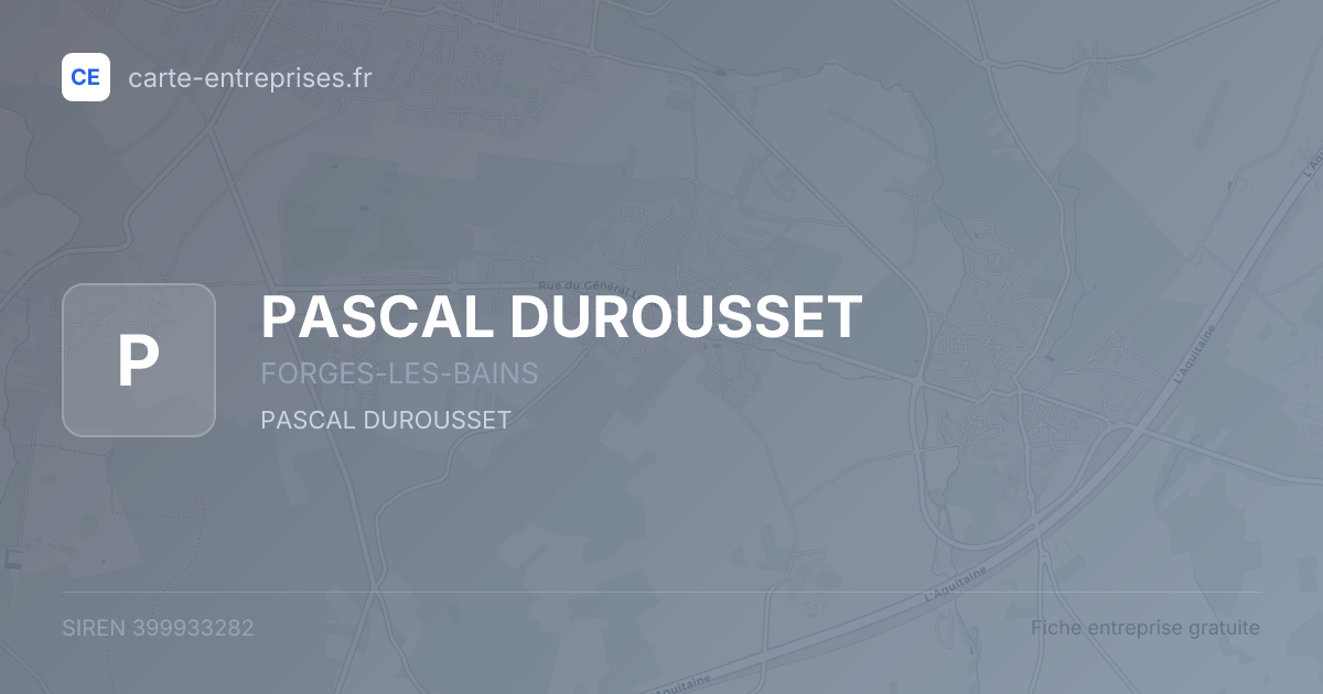 PASCAL DUROUSSET — 399933282 — fiche entreprise