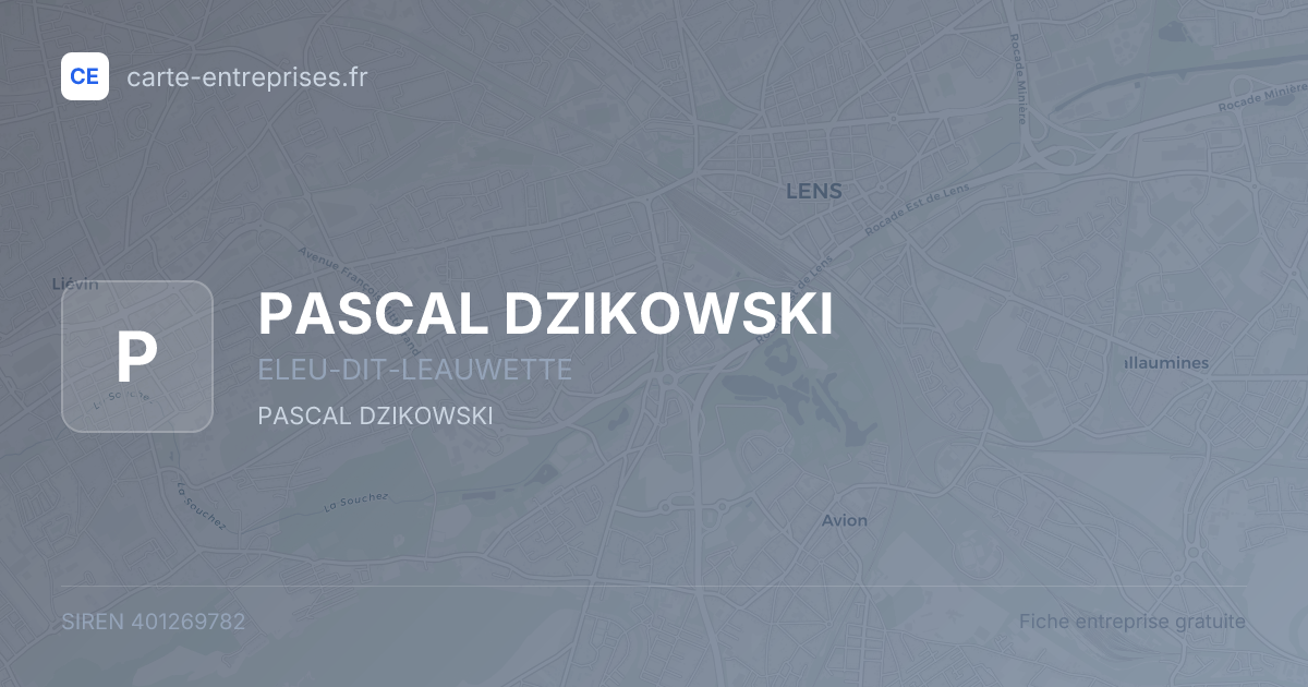 PASCAL DZIKOWSKI — 401269782 — fiche entreprise