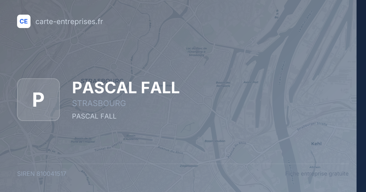 PASCAL FALL — 810041517 — fiche entreprise