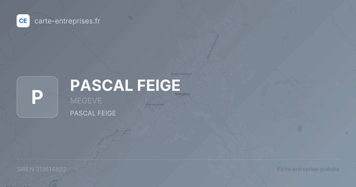 PASCAL FEIGE — 313614802 — fiche entreprise