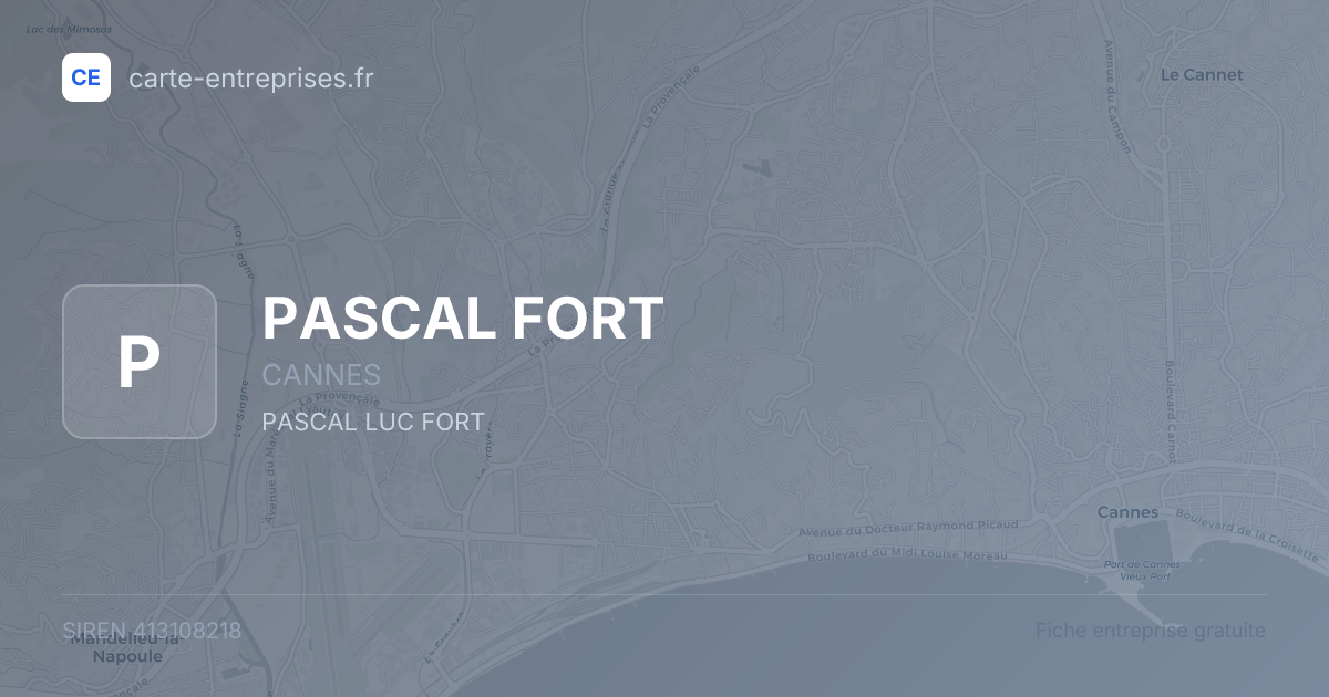 PASCAL FORT — 413108218 — fiche entreprise