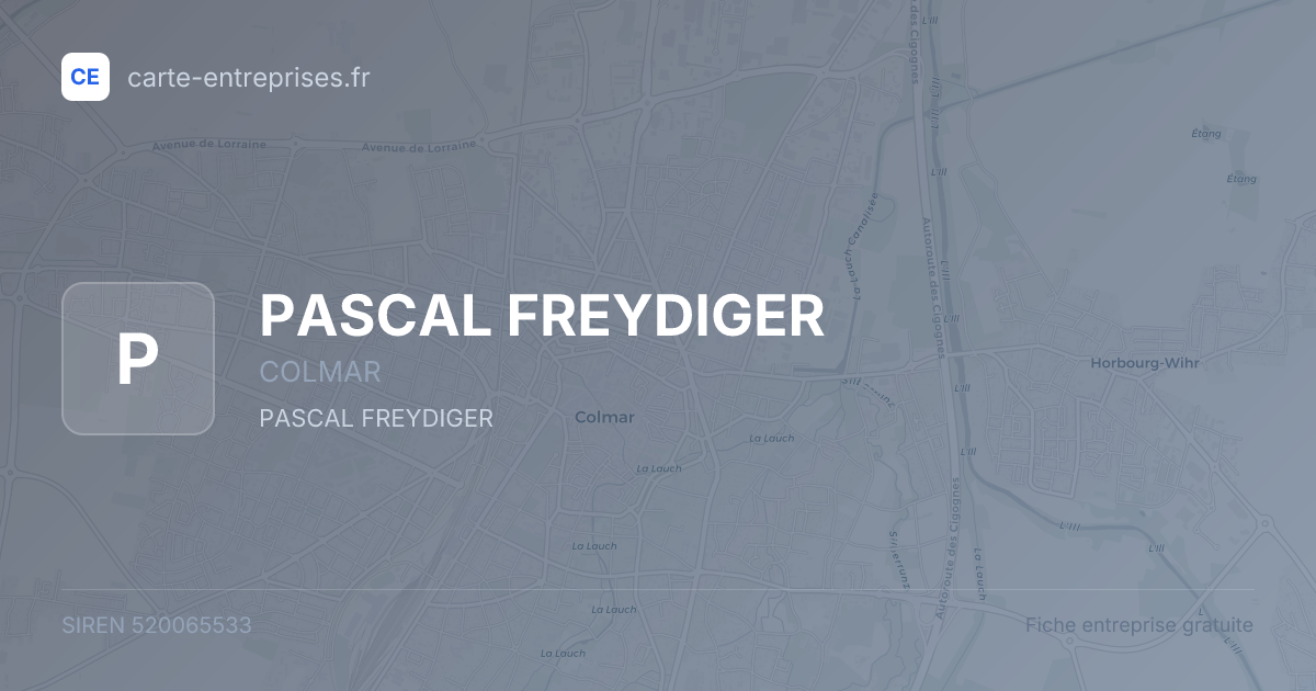 PASCAL FREYDIGER — 520065533 — fiche entreprise