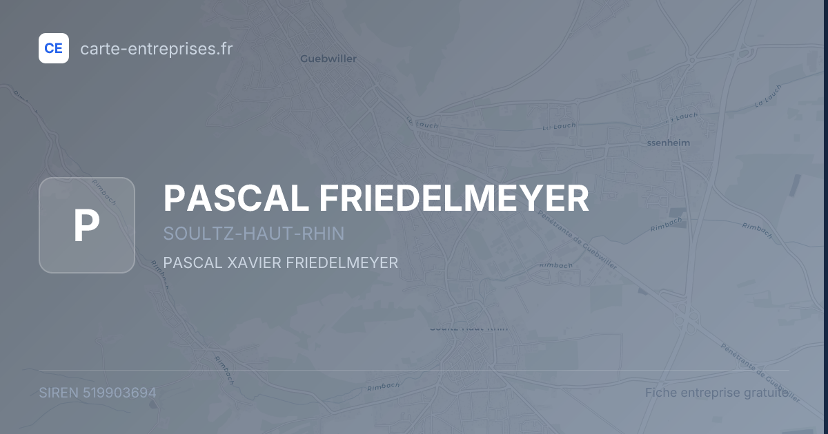 PASCAL FRIEDELMEYER — 519903694 — fiche entreprise