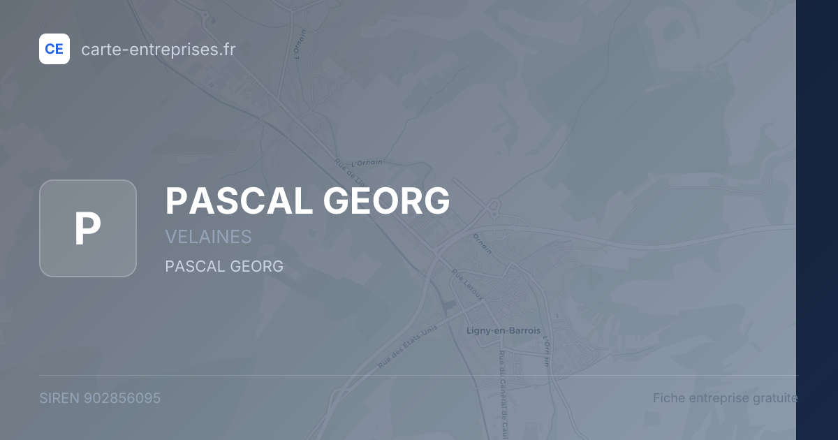 PASCAL GEORG — 902856095 — fiche entreprise