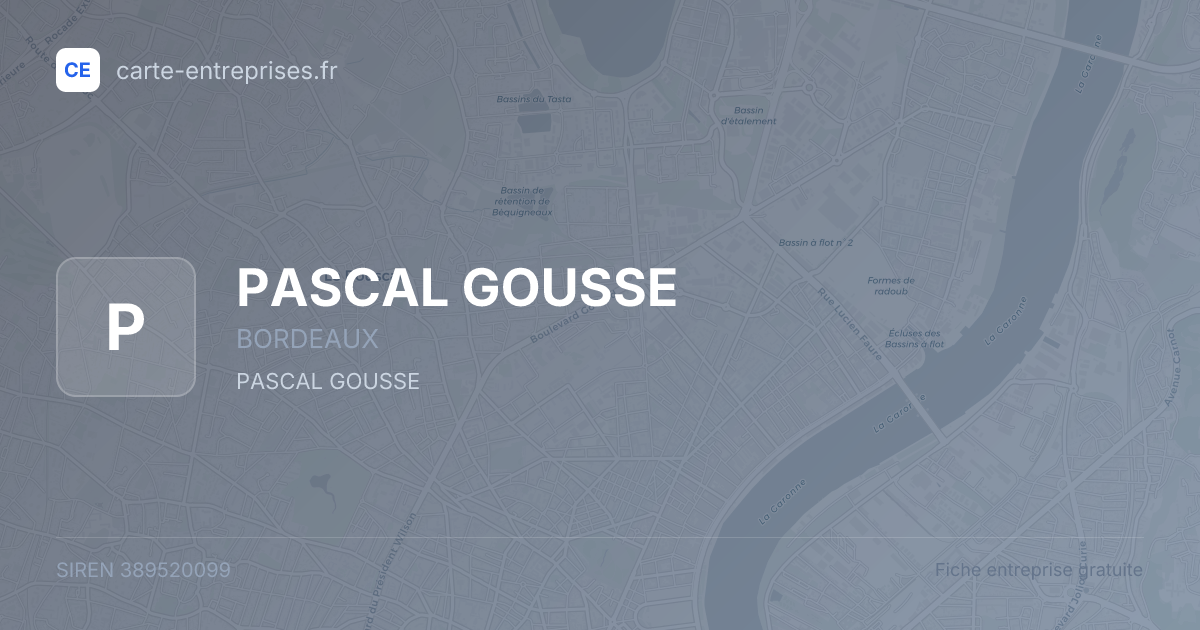 PASCAL GOUSSE — 389520099 — fiche entreprise