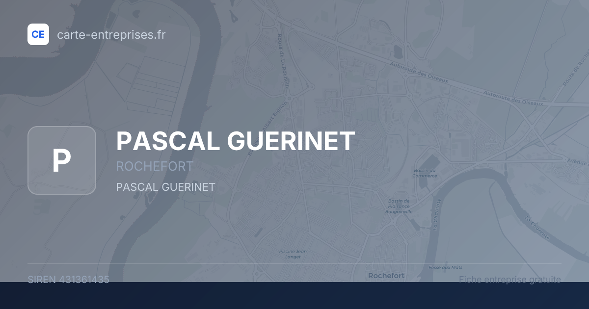PASCAL GUERINET — 431361435 — fiche entreprise