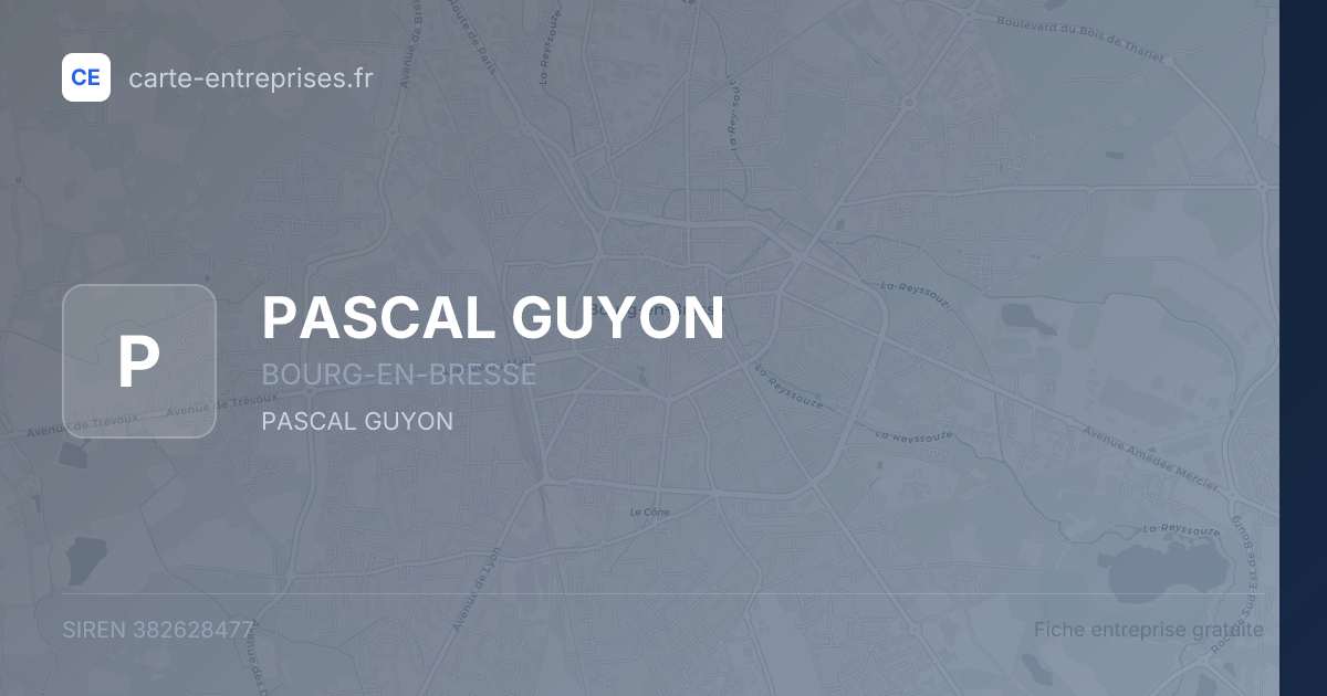 PASCAL GUYON — 382628477 — fiche entreprise