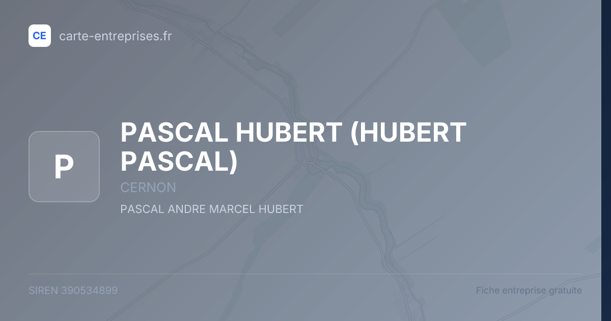 PASCAL HUBERT (HUBERT PASCAL) — 390534899 — fiche entreprise