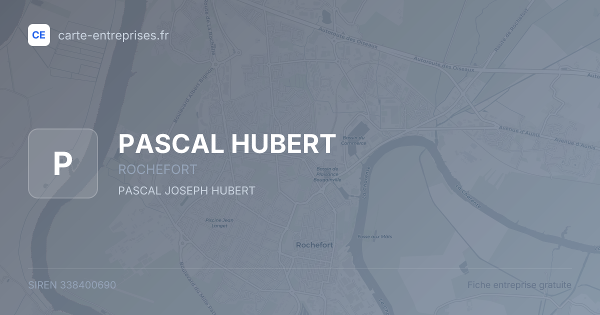 PASCAL HUBERT — 338400690 — fiche entreprise