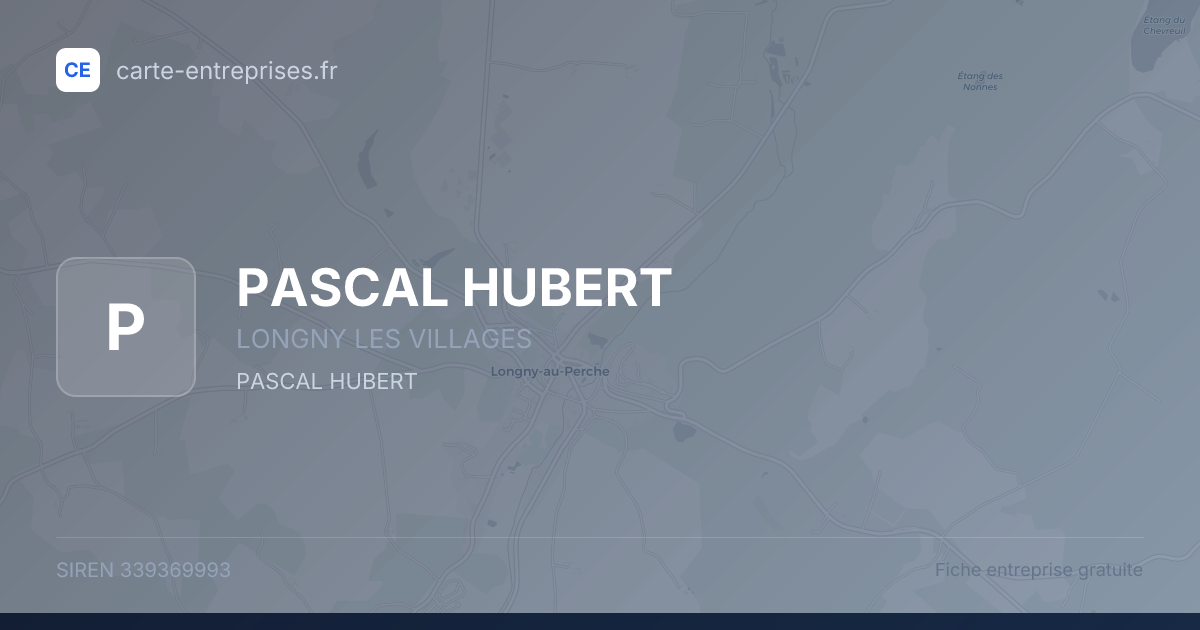 PASCAL HUBERT — 339369993 — fiche entreprise