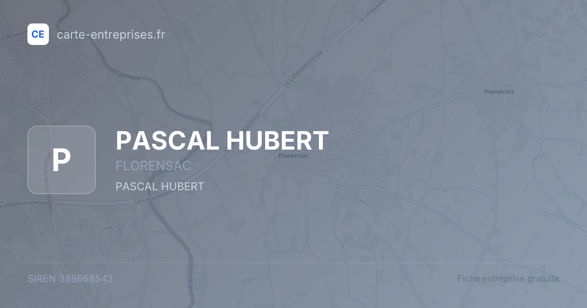 PASCAL HUBERT — 388668543 — fiche entreprise