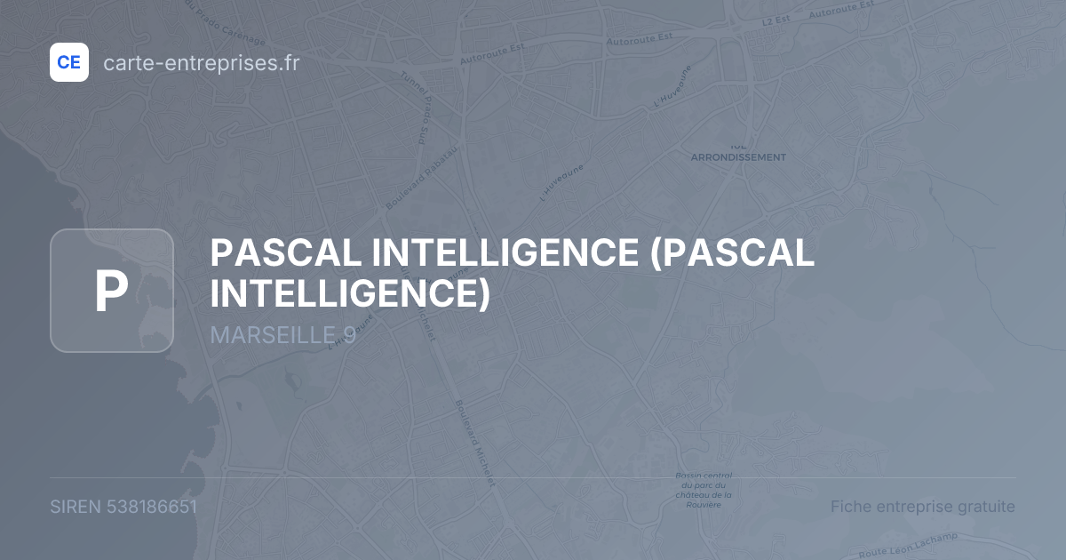 PASCAL INTELLIGENCE — 538186651 — fiche entreprise