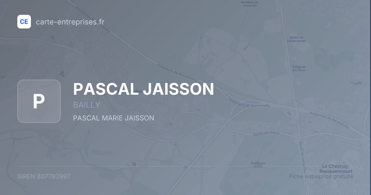 PASCAL JAISSON — 807793997 — fiche entreprise