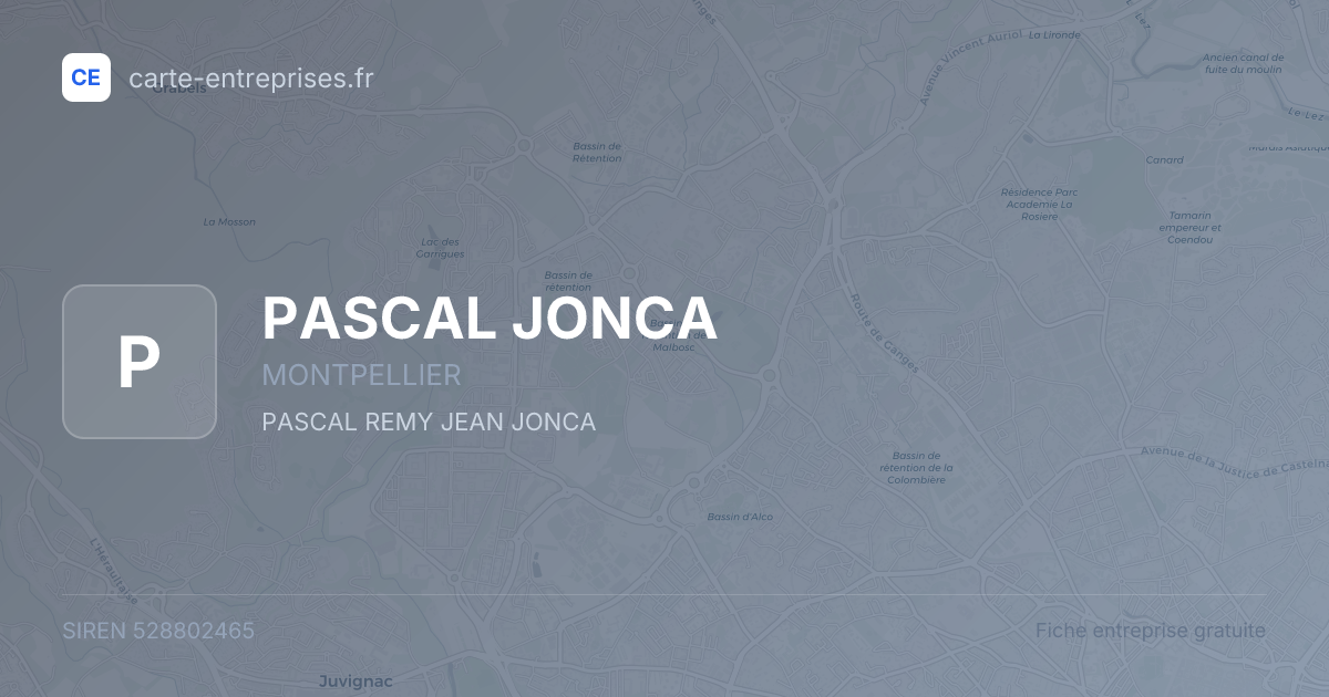 PASCAL JONCA — 528802465 — fiche entreprise