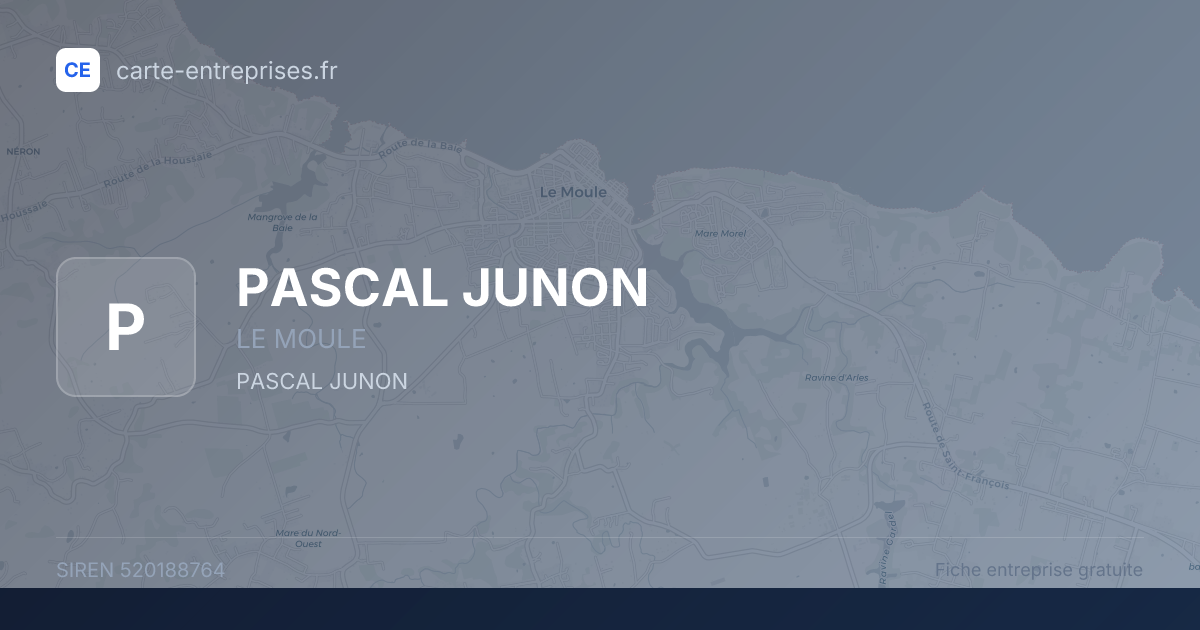 PASCAL JUNON — 520188764 — fiche entreprise