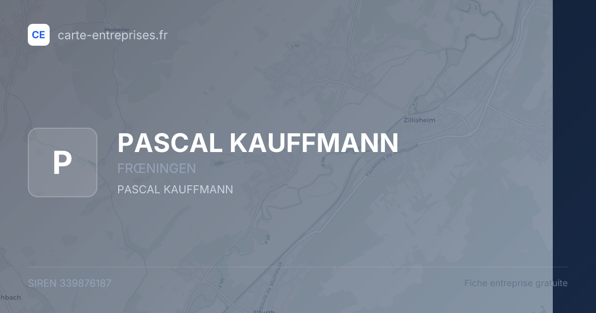 PASCAL KAUFFMANN — 339876187 — fiche entreprise