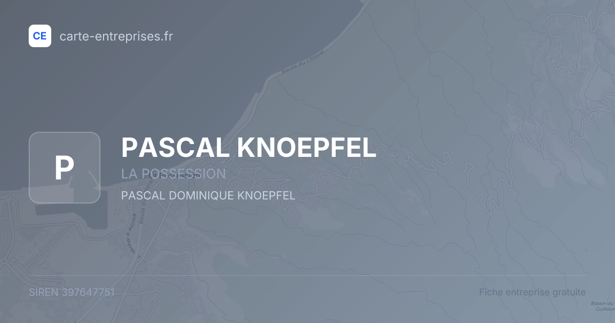 PASCAL KNOEPFEL — 397647751 — fiche entreprise