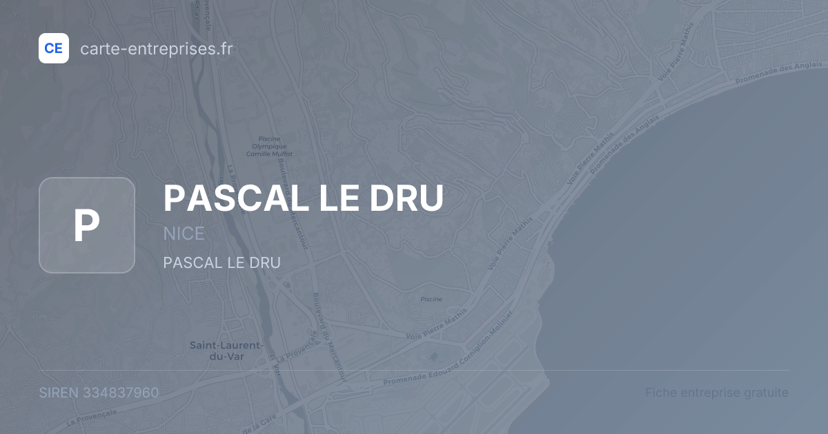 PASCAL LE DRU — 334837960 — fiche entreprise
