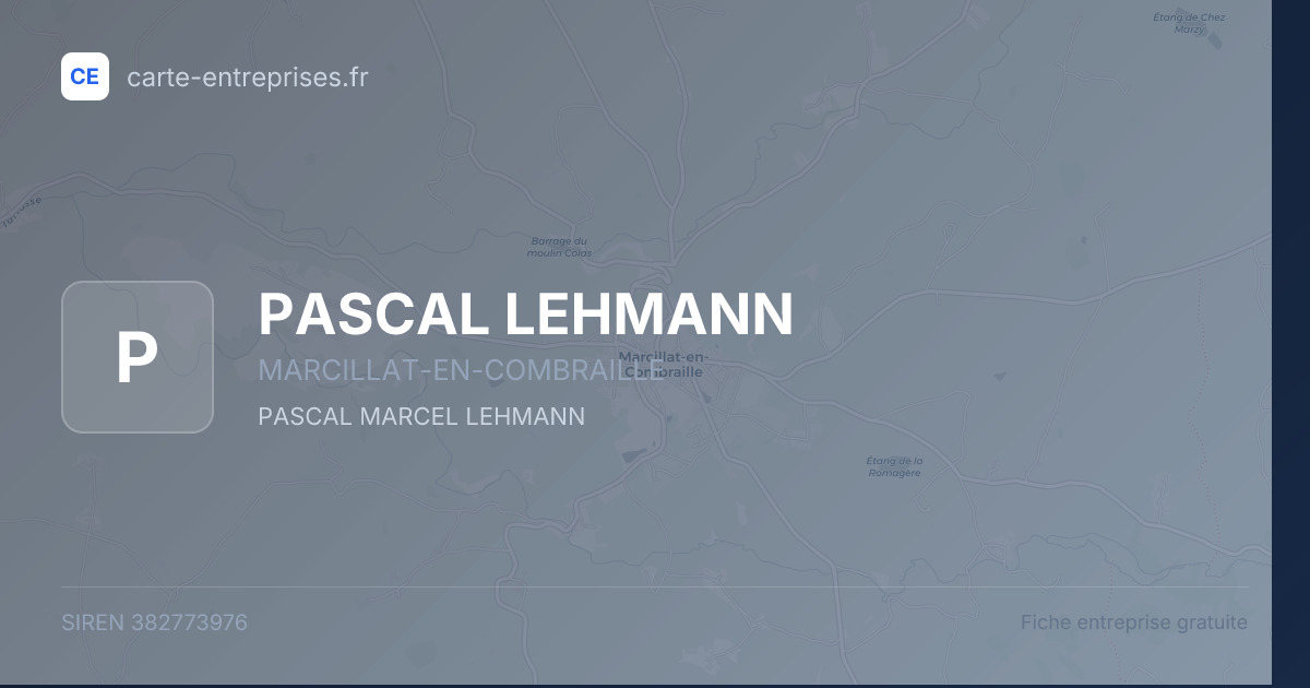PASCAL LEHMANN — 382773976 — fiche entreprise