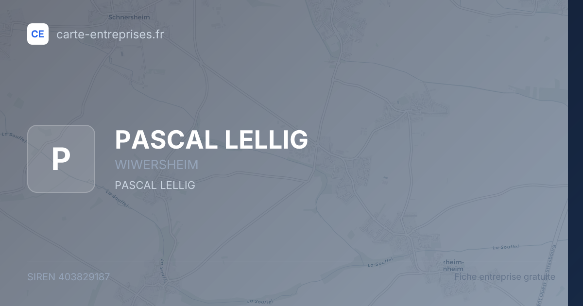 PASCAL LELLIG — 403829187 — fiche entreprise