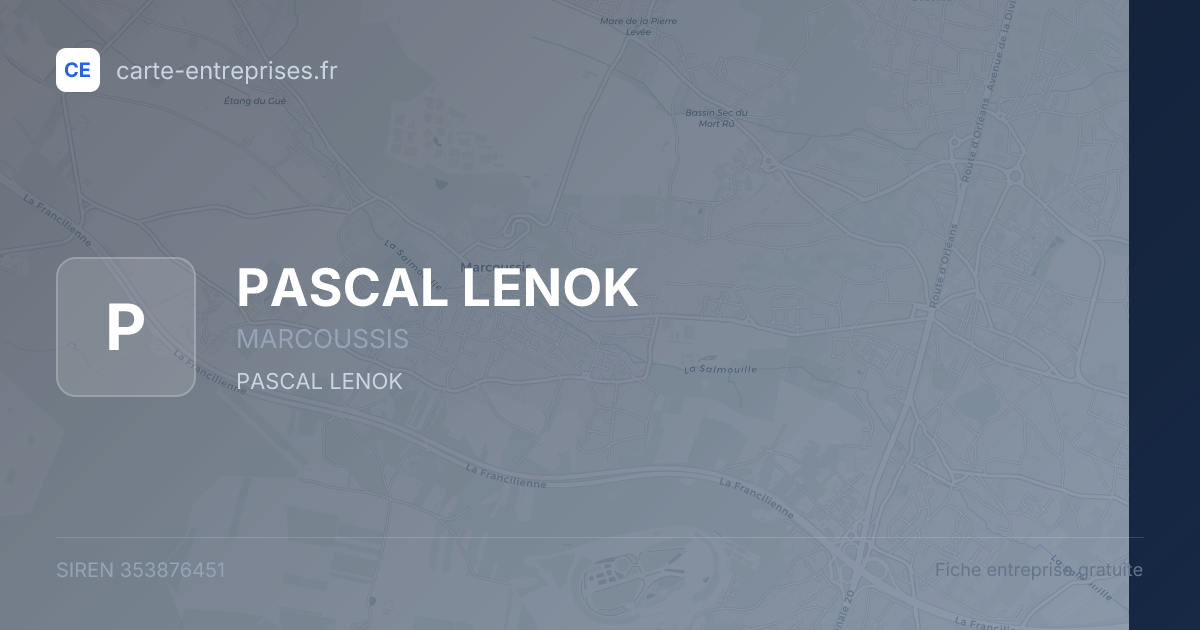 PASCAL LENOK — 353876451 — fiche entreprise