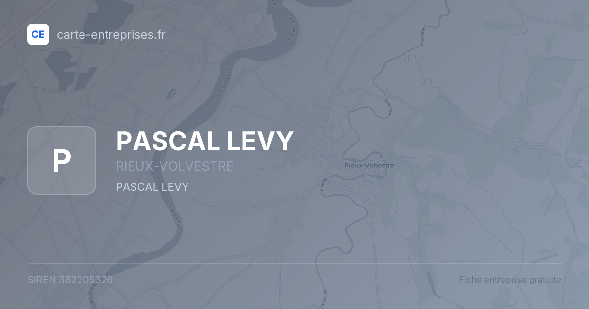 PASCAL LEVY — 382205326 — fiche entreprise