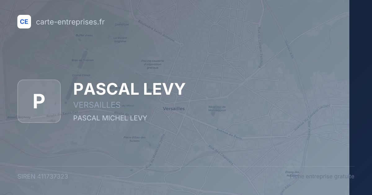 PASCAL LEVY — 411737323 — fiche entreprise